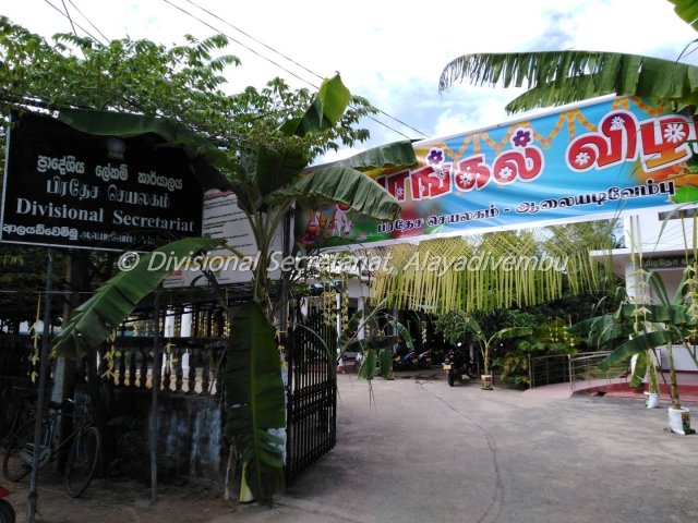 Pongal festival of Alayadivembu Divisional Secretariat-2021